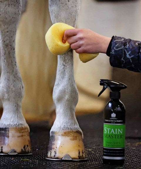 Carr & Day & Martin Horse Grooming Sponge