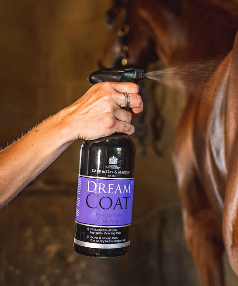 Carr & Day & Martin Dreamcoat Gloss Spray 500ml