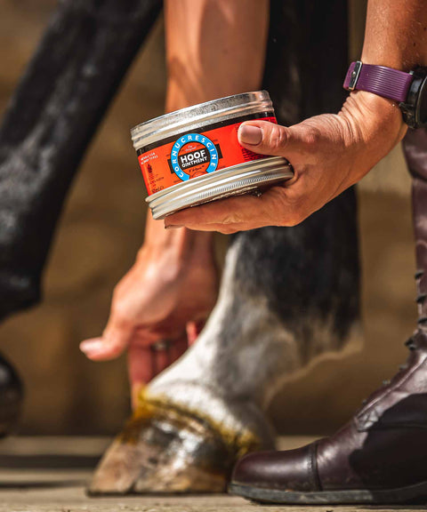 Carr & Day & Martin CORNUCRESCINE Hoof Ointment 250 ml