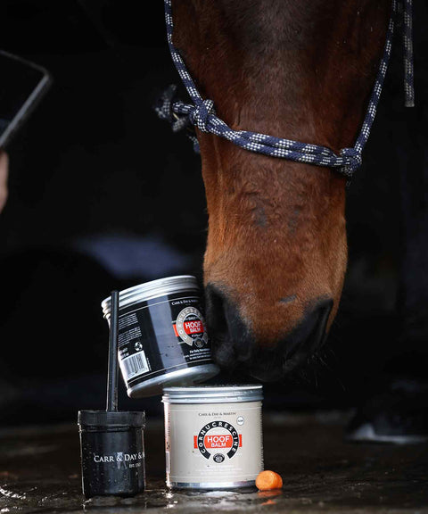 Carr & Day & Martin Cornucrescine Hoof Balm clear 500 ml